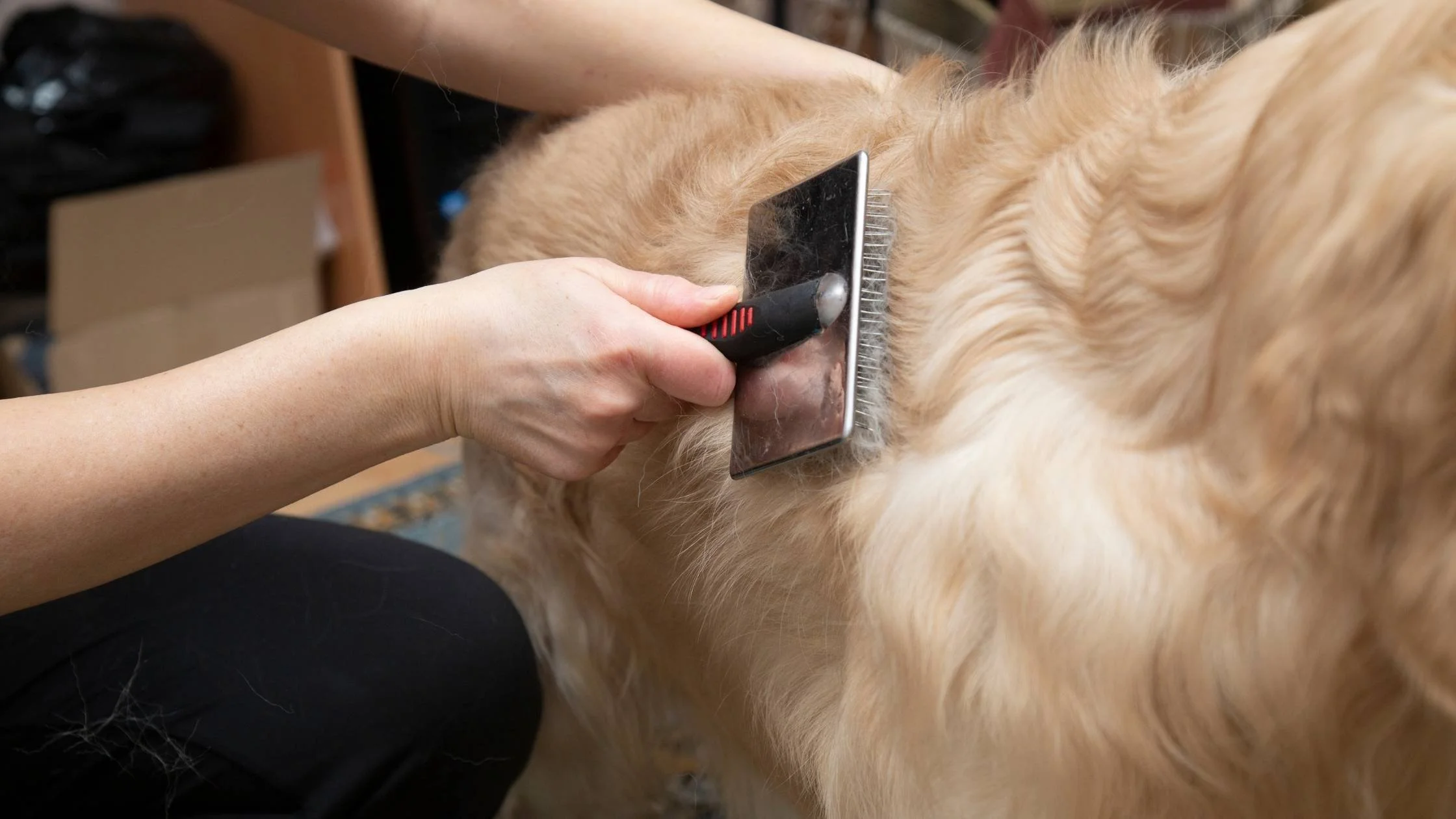 De-shedding treatment